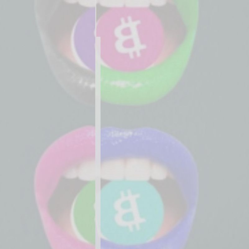 SATOSHE - Bitcoiner's Drum Lamp Shade